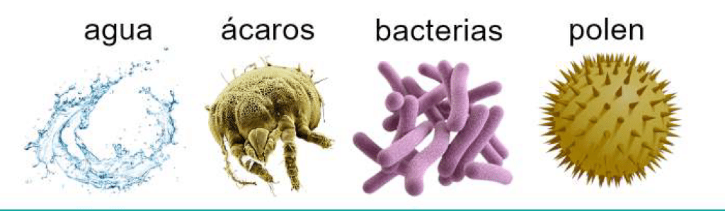 Iconos de agua, ácaros, bacterias y polen